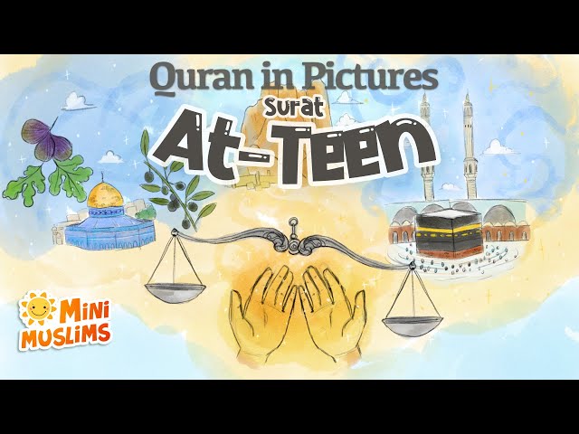 Quran For Kids | Surat At-Teen| Quran in Pictures | سورة التين ☀️ MiniMuslims