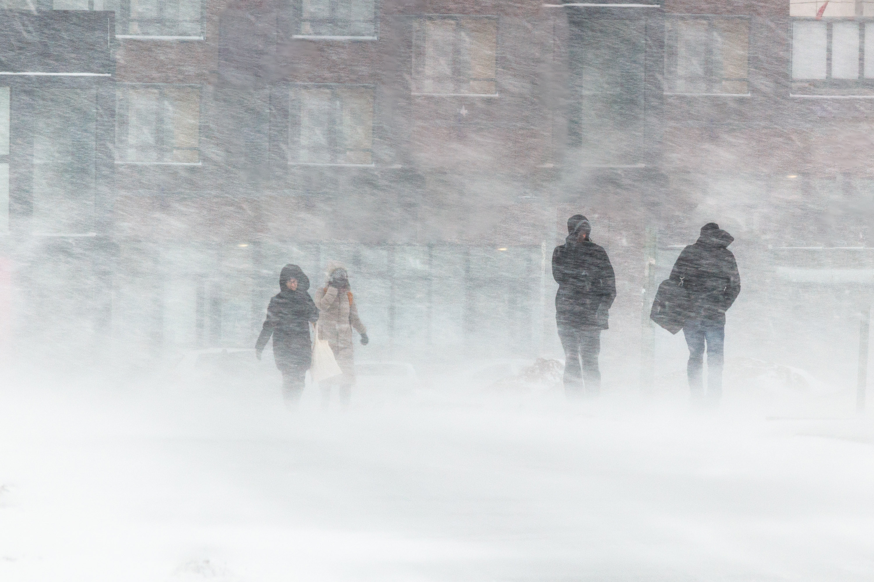 Winter Blizzard Scene